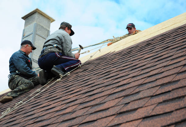 Best Emergency Roof Repair  in Williamsport, IN